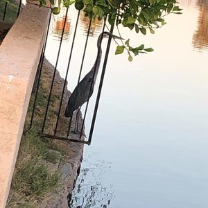 Meet your Posher, Frances